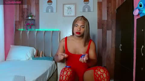 Noha online show from 02.23.26