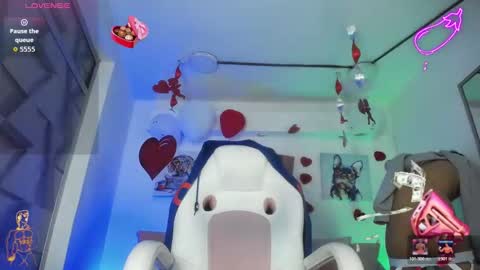 David online show from 02.17.26