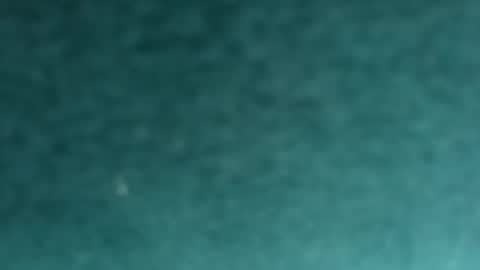 davidf75 online show from 11.12.25