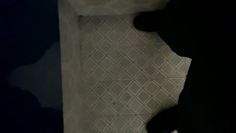 davzsoher online show from 01.06.25