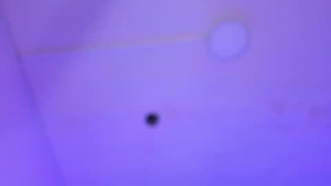 dayana_harlow2 online show from 01.16.25