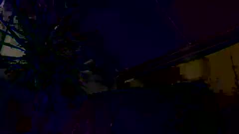 dayblue online show from 03.01.26