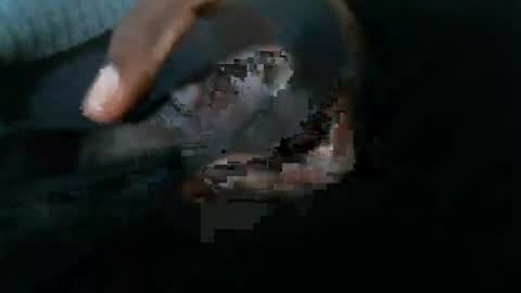 Snapshot of dbizzlenyc chatting on 02.01.25 dbizzlenyc online show from 02.01.25