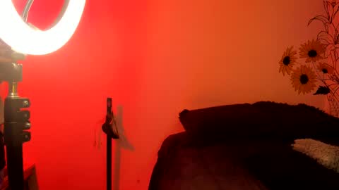 venus  adam online show from 12.04.24