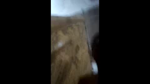 Snapshot of deeek56 chatting on 03.24.26 deeek56 online show from 03.24.26