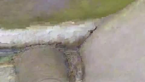 Snapshot of deepdiver3366 chatting on 11.02.25 Dive Deep online show from 11.02.25