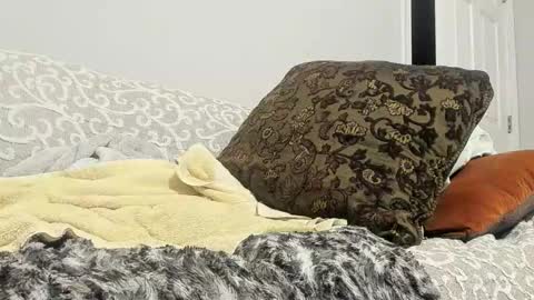 Deez Nutz online show from 02.24.25