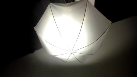 Snapshot of dei_v_48 chatting on 02.14.25 DEIVY online show from 02.14.25