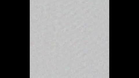 Ducky online show from 10.19.25