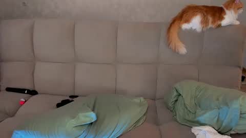 Snapshot of dementra chatting on 03.08.25 Victoria and Nara twitterinstagram dementra rawrr online show from 03.08.25