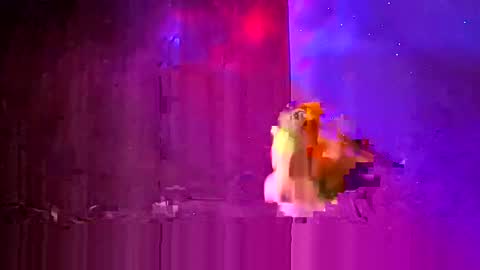 Snapshot of den2807 chatting on 03.24.26 den2807 online show from 03.24.26