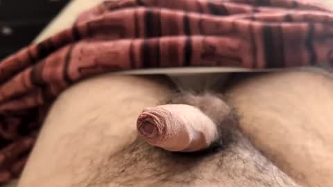 Snapshot of denis647 chatting on 02.05.25 LilRoach online show from 02.05.25