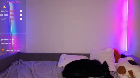 Snapshot of denlover chatting on 12.04.25 Den online show from 12.04.25