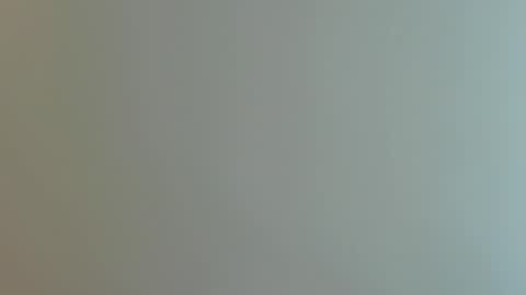 dennis munera online show from 01.29.25