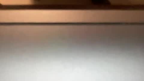 densex123 online show from 03.04.25