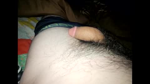 Snapshot of dentdlapin chatting on 01.06.26 Toreto online show from 01.06.26