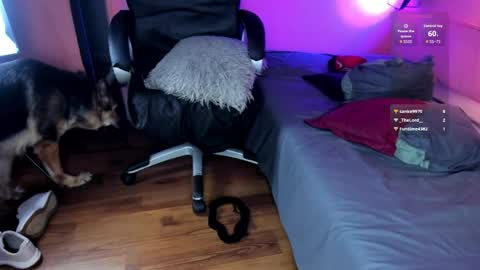 NTMY guys im a kinda desi from Medellin  online show from 04.24.26
