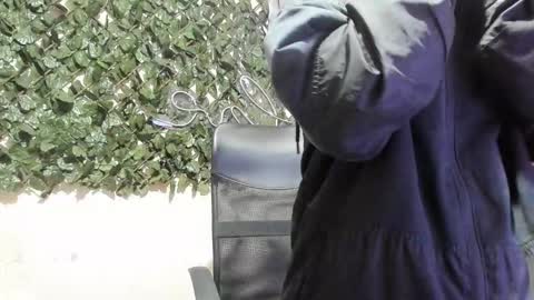 Destiny online show from 01.19.26