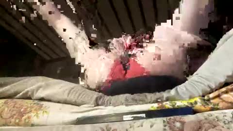 deviantlyourz online show from 10.22.25