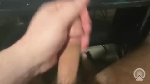 Snapshot of devin255395 chatting on 12.03.25 devin255395 online show from 12.03.25