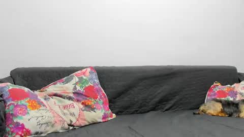 Misha online show from 02.03.25