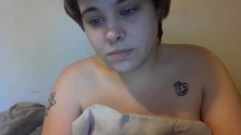 devykitten online show from 11.13.25