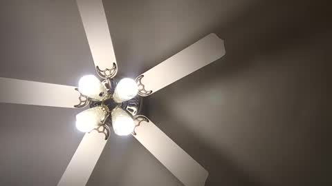 Snapshot of diamonde_steele chatting on 12.12.24 diamonde_steele online show from 12.12.24