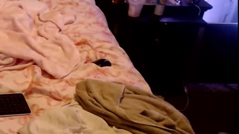 Sparkx online show from 03.01.26