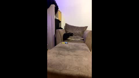 dickparceldick online show from 05.29.26