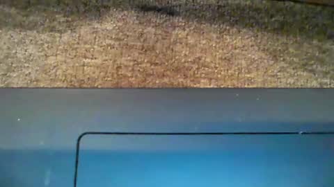 Snapshot of dicky_doo2 chatting on 01.05.25 Bigmick online show from 01.05.25