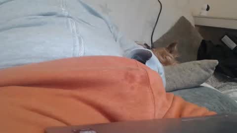 Snapshot of diegovlc chatting on 03.20.26 DiegoVLC online show from 03.20.26