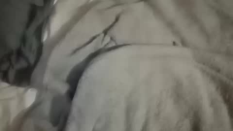 Daddy online show from 10.10.25