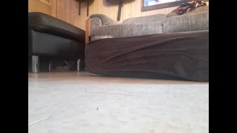 dildosnme22 online show from 02.19.25