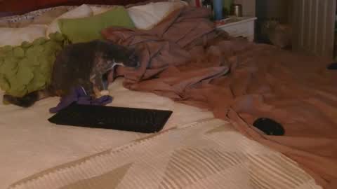 dildosnme22 online show from 12.18.25