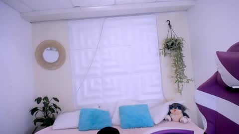 DINA online show from 05.11.26