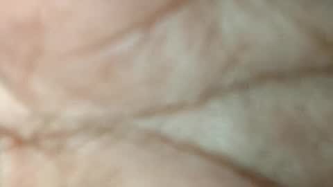 Snapshot of dino_7711 chatting on 11.17.25 dyno online show from 11.17.25