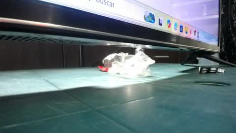 Snapshot of dinotra chatting on 03.24.26 ANDREA online show from 03.24.26