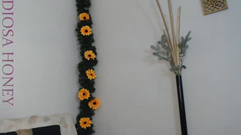 Diosa online show from 01.29.25