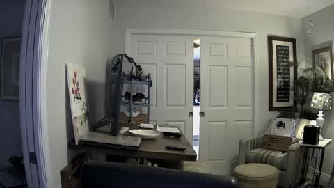 Snapshot of dirkpitt223 chatting on 01.02.25 DirtkPitt Fun guy working online show from 01.02.25