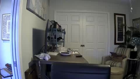 Snapshot of dirkpitt223 chatting on 01.04.25 DirtkPitt Fun guy working online show from 01.04.25