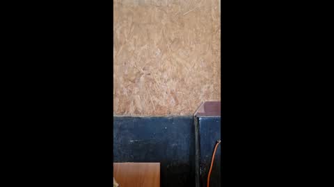 dispuestoatod online show from 12.20.25