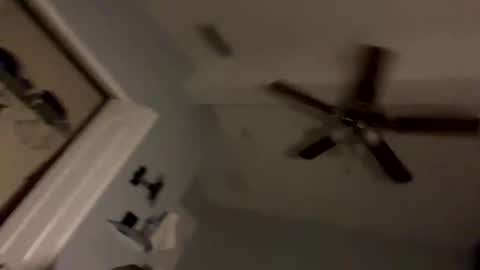 dixnice online show from 02.21.26