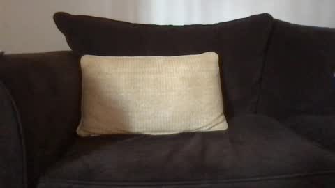 Snapshot of dizzydig chatting on 01.25.25 Dizzydig online show from 01.25.25