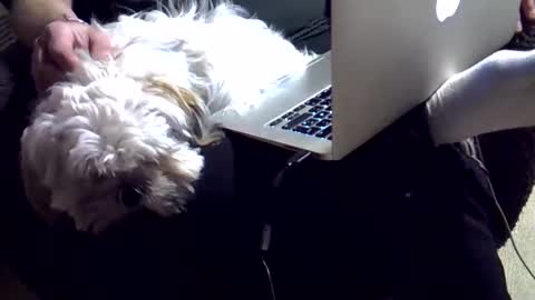 DKdad online show from 12.04.25