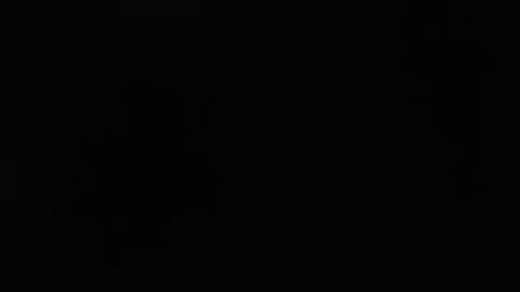 Snapshot of dlt22 chatting on 04.12.26 dlt22 online show from 04.12.26