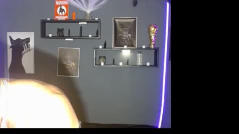 Snapshot of dober_manent chatting on 11.18.25 dober_manent online show from 11.18.25