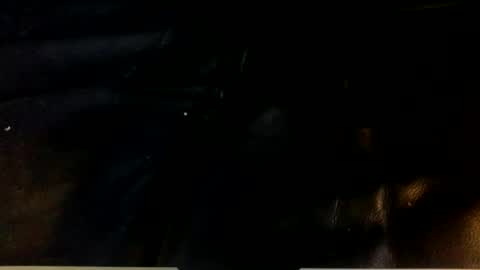 Snapshot of dogstarmanitee chatting on 12.24.24 dogstarmanitee online show from 12.24.24