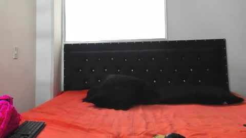 Snapshot of doll_celeste19 chatting on 10.08.25 C E L E S T E online show from 10.08.25