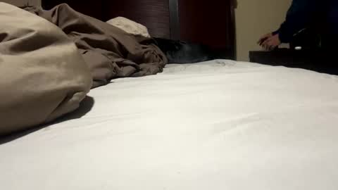 Snapshot of dolphin22356 chatting on 01.17.25 Ben Dover online show from 01.17.25