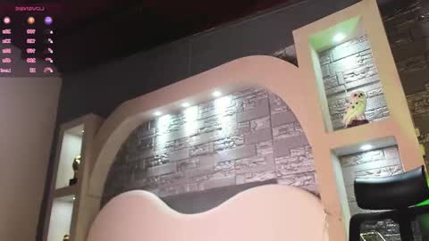 Snapshot of dominic_de_luca chatting on 11.03.25 dominic de luca online show from 11.03.25